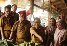 Tim Gabungan Pemkab Lampung Selatan Pantau Harga Sembako di Sejumlah Pasar Jelang Nataru