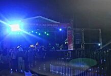 Sekda Thamrin Hadiri Malam Pentas Seni Budaya Hari Jadi Lamsel ke-67