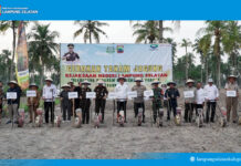 Bupati Lampung Selatan, Radityo Egi Pratama dan Kajati Tanam Jagung Bareng, Demi Ketahanan Pangan & Kesejahteraan Petani